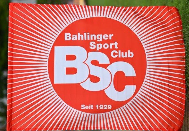 Stockfahne Rising Sun